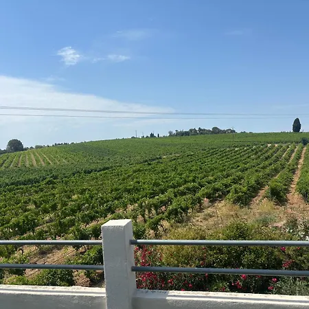 L'instant Vigne